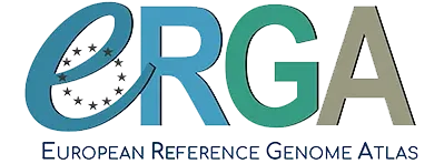 Erga